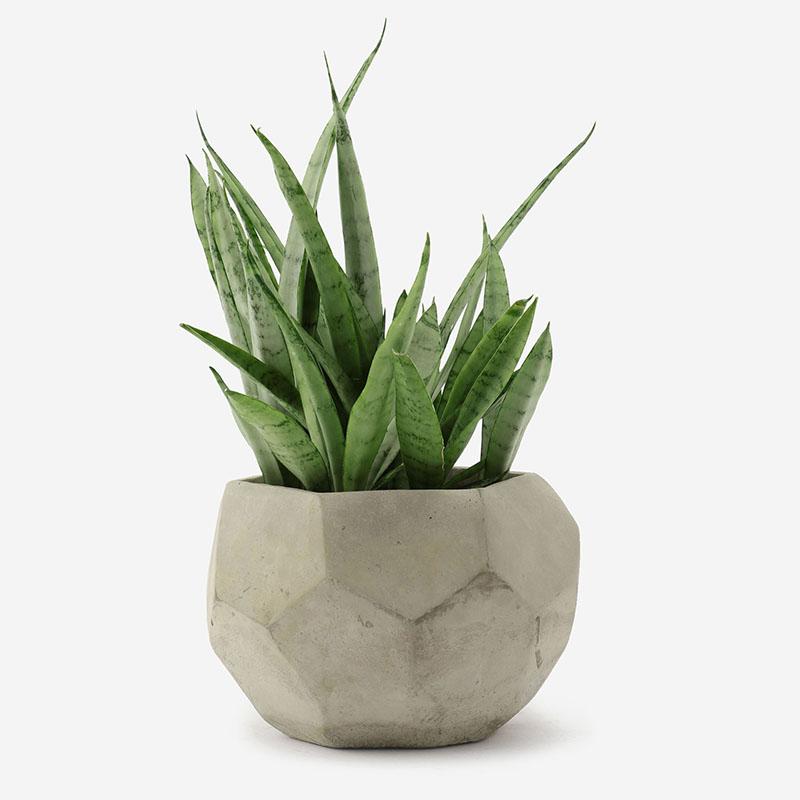 プロが選ぶ おしゃれな観葉植物の鉢カバー10選 インテリアに映える逸品のみをセレクト Hello Interior Note ノート プロが選ぶ おしゃれな観葉植物の鉢カバー10選 インテリアに映える逸品のみをセレクト Hello Interior Note ノート