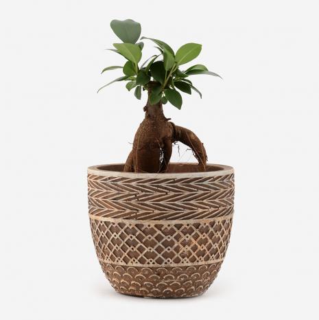 Farm プラントポット サルメ 3号鉢 ガーデン グリーン Actus Online アクタスオンライン Actus Online Farm プラントポット サルメ 3号鉢 ガーデン グリーン Actus Online アクタスオンライン Actus Online